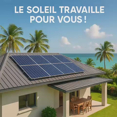 Charger la vidéo : transition-énergetique97.fr